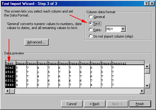 Import into Excel