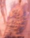 chelly_rock_art