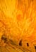 house_fire3