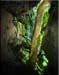 natural_bridge1