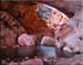 natural_bridge5