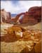 powell4