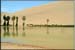 sand_mt
