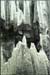 stone_forest1