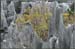 stone_forest2