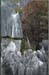 stone_forest3