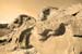 wave_rock