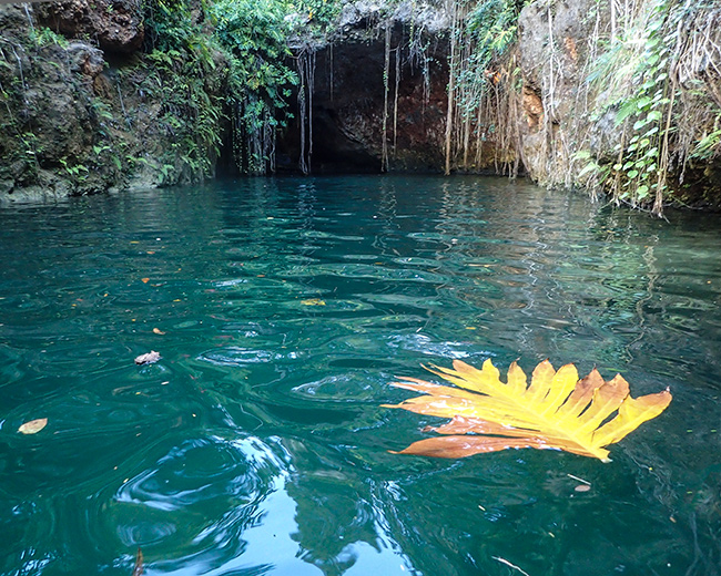 Best Photos Of Mexico By Alex Yu