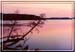 lake_bemidji