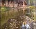 oak_creek1