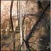 oak_creek5