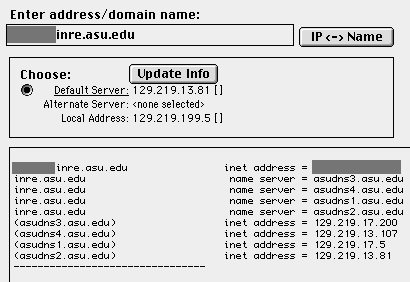 NS Lookup