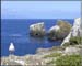 channel_gull2