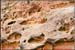 capitol_reef1