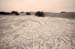 death_dune