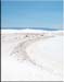 whitesand1