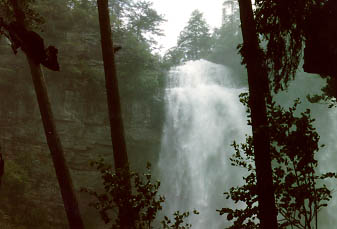 Fall Crete Fall in Tennessee 