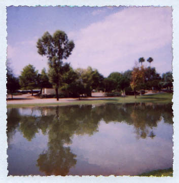 Polaroid 600 AlterImage