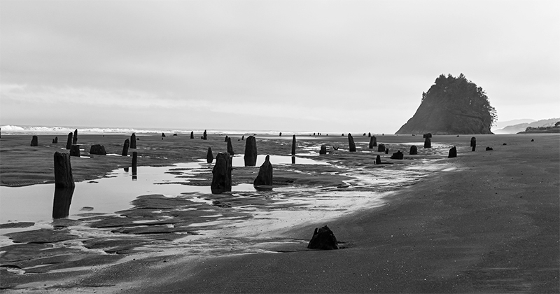 Best photo of Oregon seashore