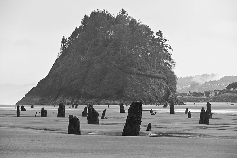 Best photo of Oregon seashore
