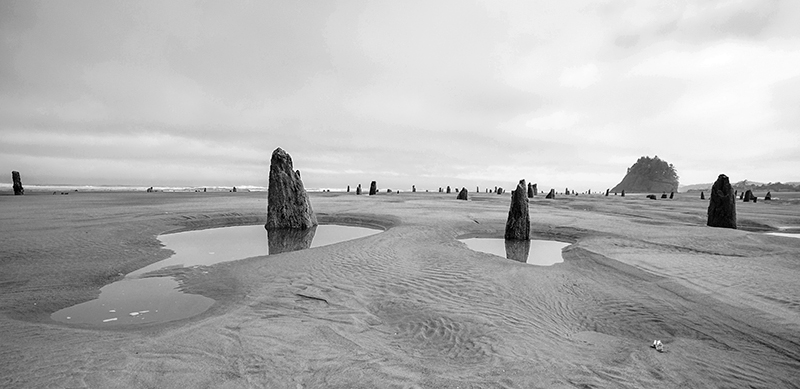 Best photo of Oregon seashore