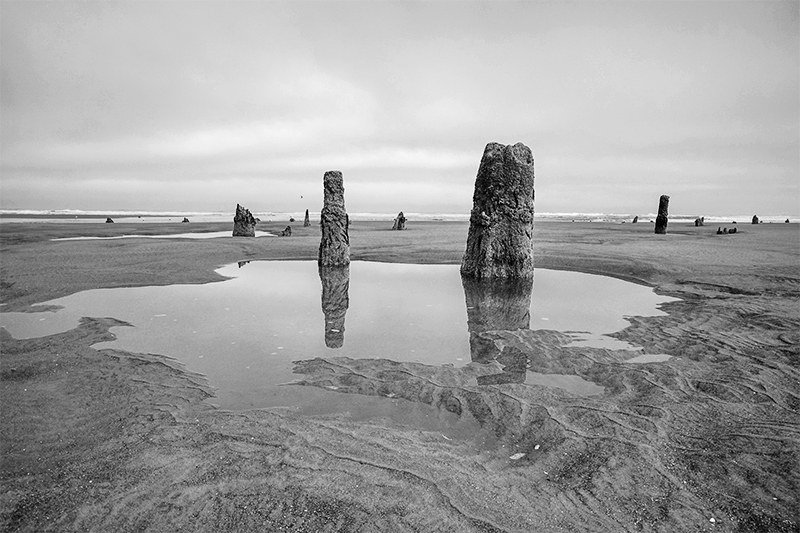 Best photo of Oregon seashore