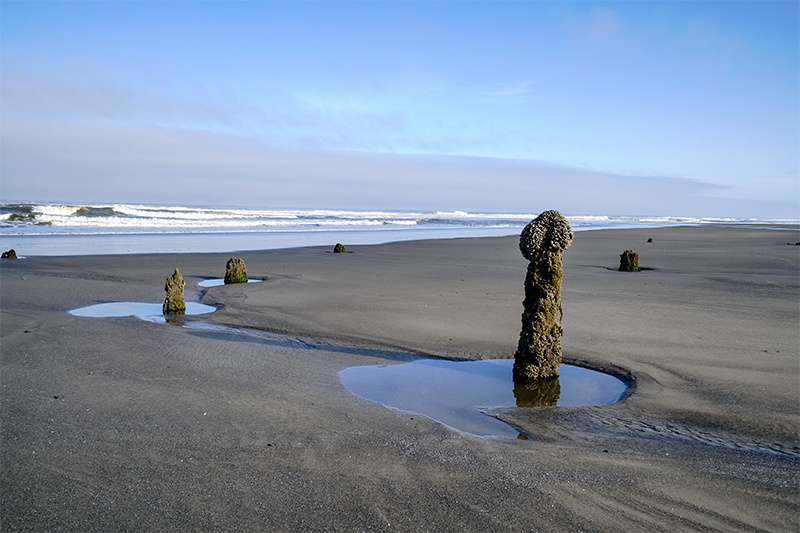 Best photo of Oregon seashore