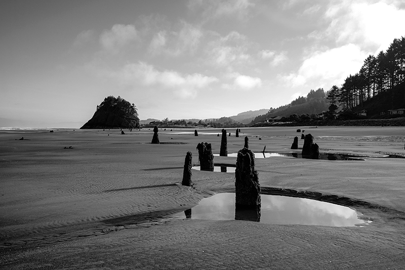Best photo of Oregon seashore