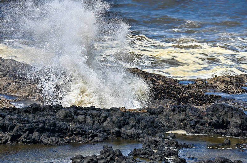 Best photo of Oregon
                                          seashore