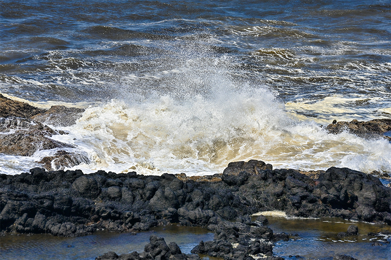 Best photo of Oregon
                                          seashore