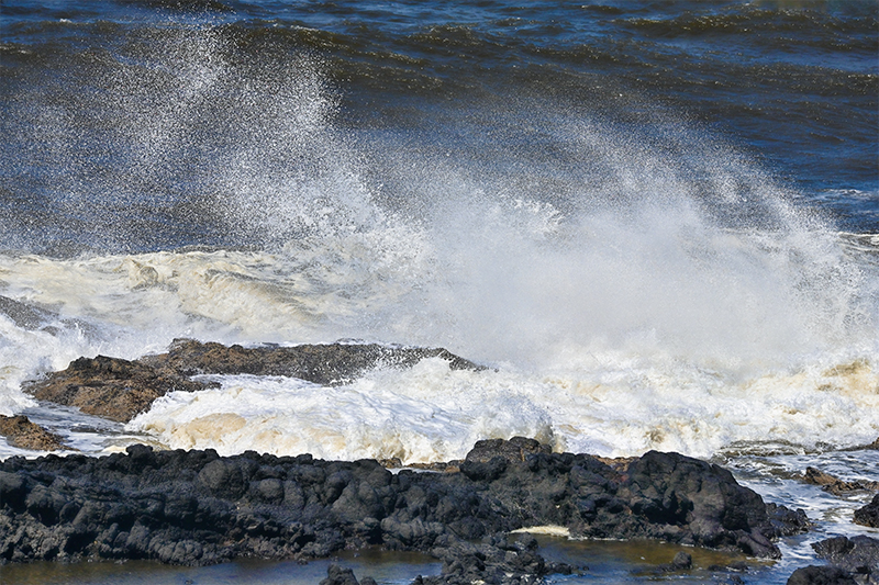 Best photo of Oregon
                                          seashore