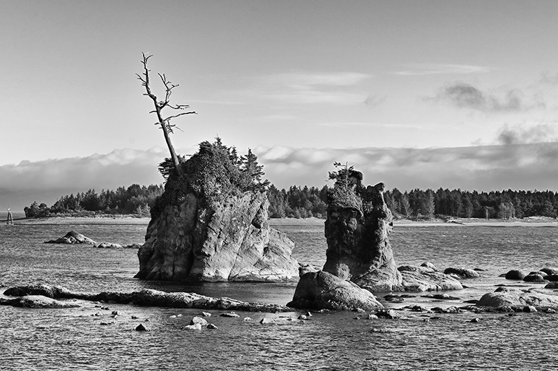 Best photo of Oregon
                                          seashore