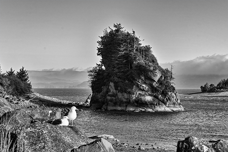 Best photo of Oregon
                                          seashore
