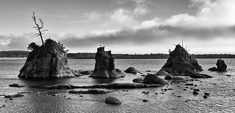 Best photo of Oregon
                                          seashore