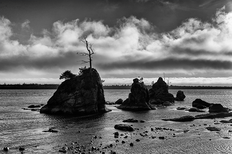 Best photo of Oregon seashore