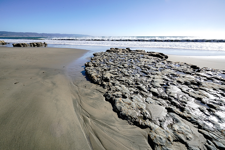 Best photo of North California