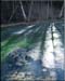 alpine_pond