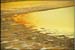 antelope_island1