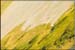 antelope_island5
