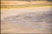 antelope_island6