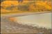 antelope_island8