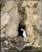 catalina_hole